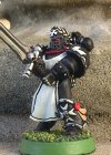 Emperor`s Champion