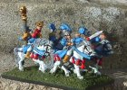 Elf Reavers
