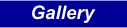 Gallery Page